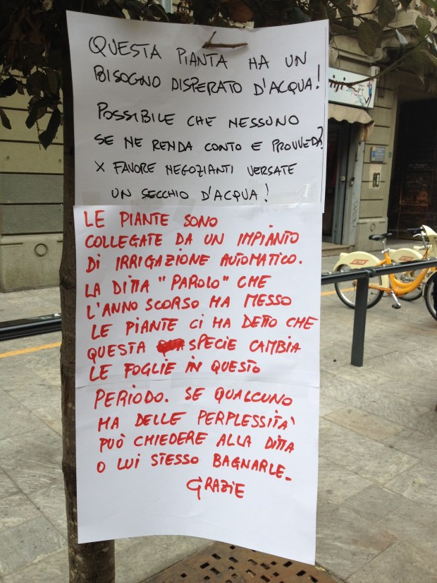 20120403-192844.jpg