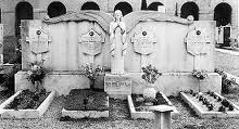 20120425-071041.jpg