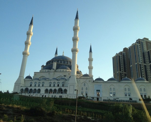 20120711-230955.jpg