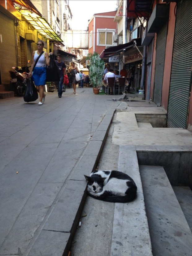 20120713-154841.jpg