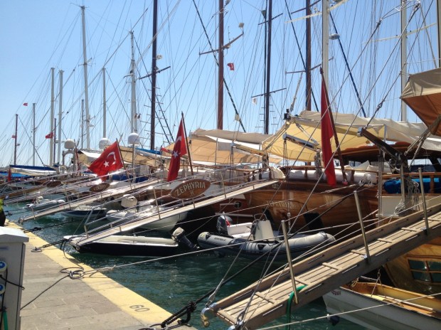 20120718-200327.jpg