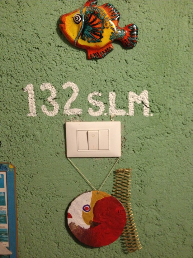 20120803-194828.jpg