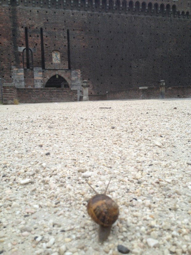 20120929-082309.jpg
