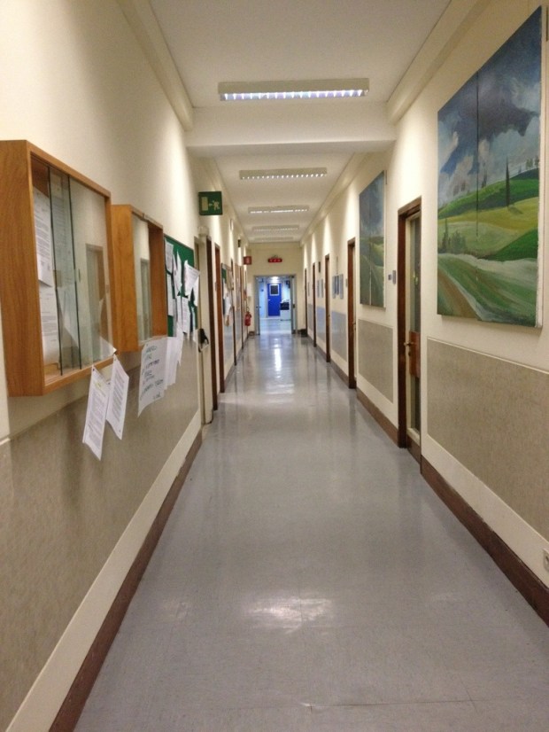 20121107-084826.jpg