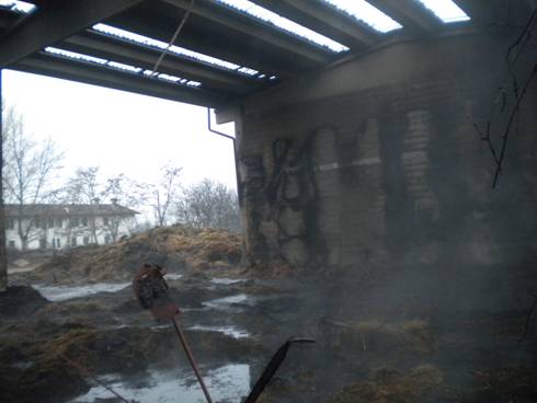 Incendio Wwf