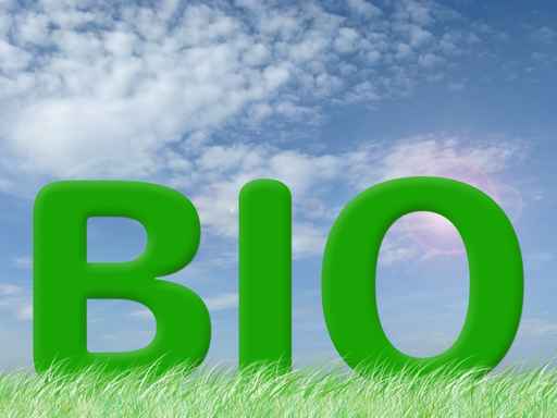 BIO
