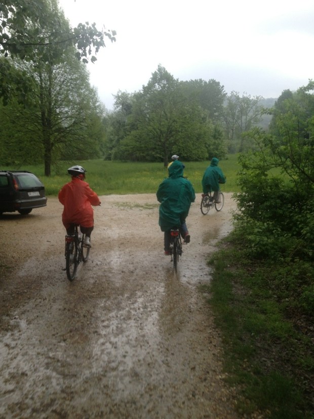 20130503-120234.jpg