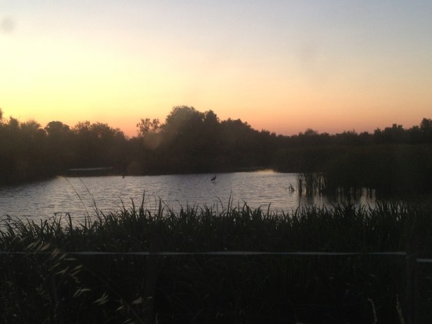 20130705-205639.jpg