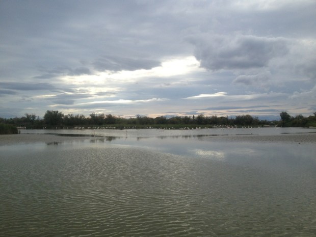 20130705-231158.jpg