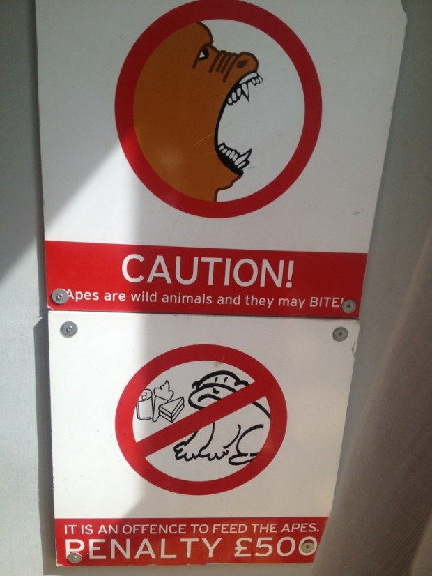 20130723-174405.jpg
