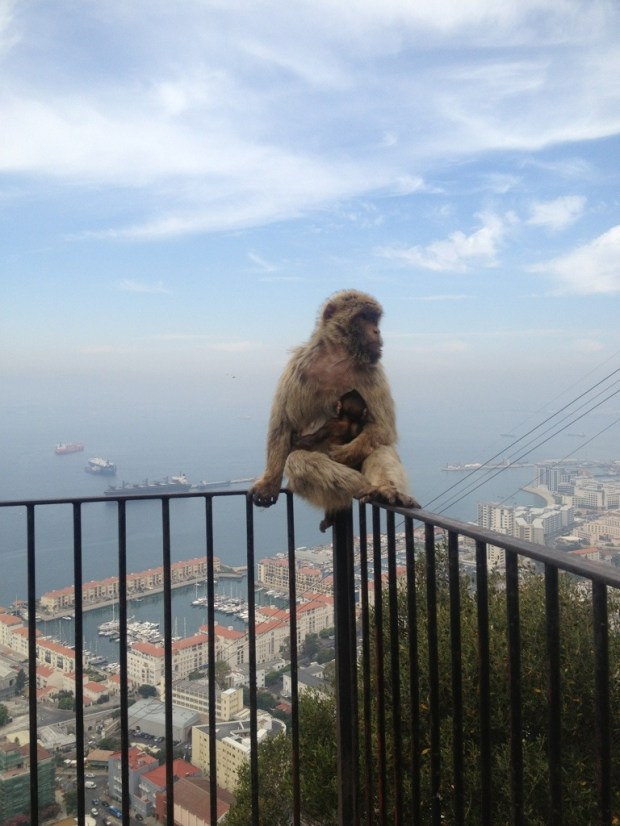 20130724-182559.jpg