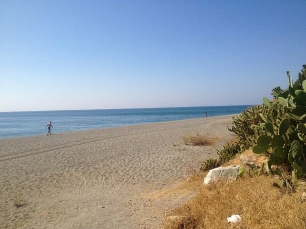 20130809-221312.jpg