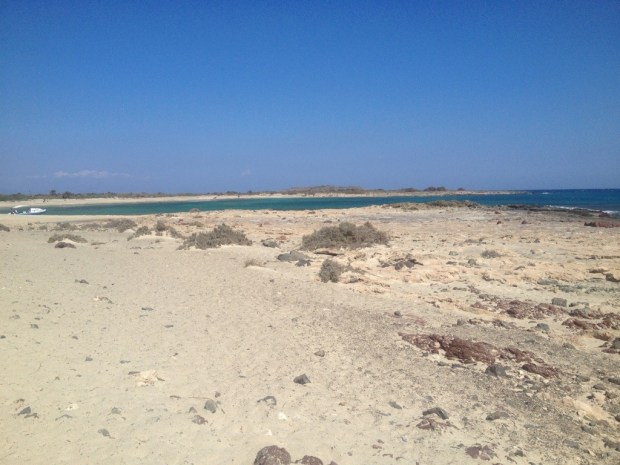 20130921-181922.jpg