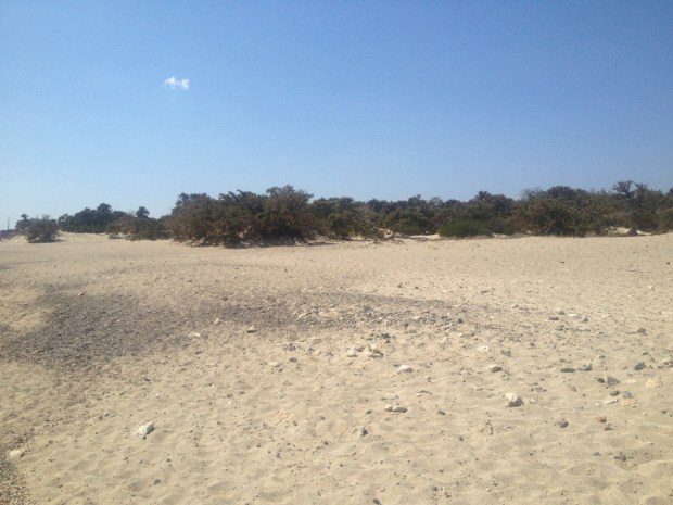 20130921-182115.jpg